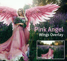 39张高清透明背景的天使翅膀PNG图片：Pink Angel Wings Overlay